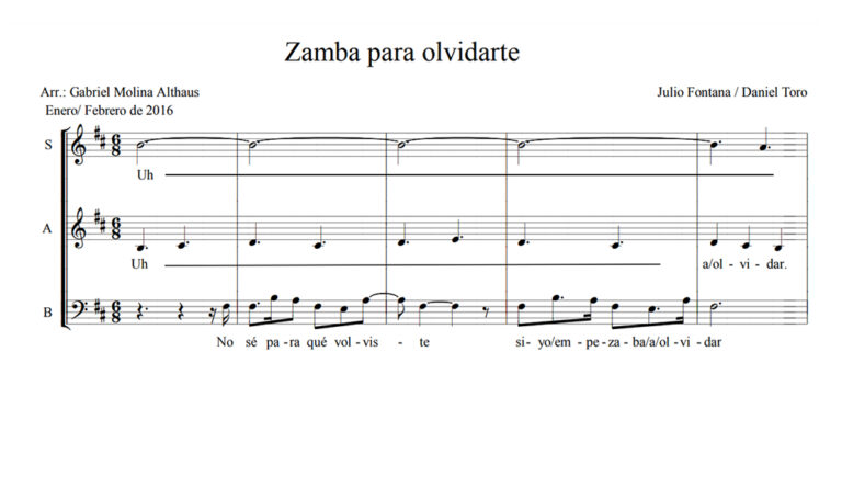 zamba 768x445