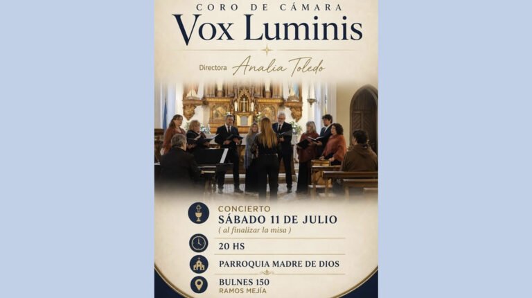 vox 768x430